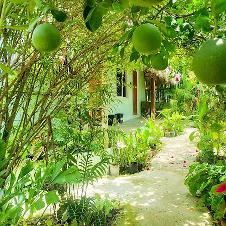 Las Palmas Bacalar Exterior foto