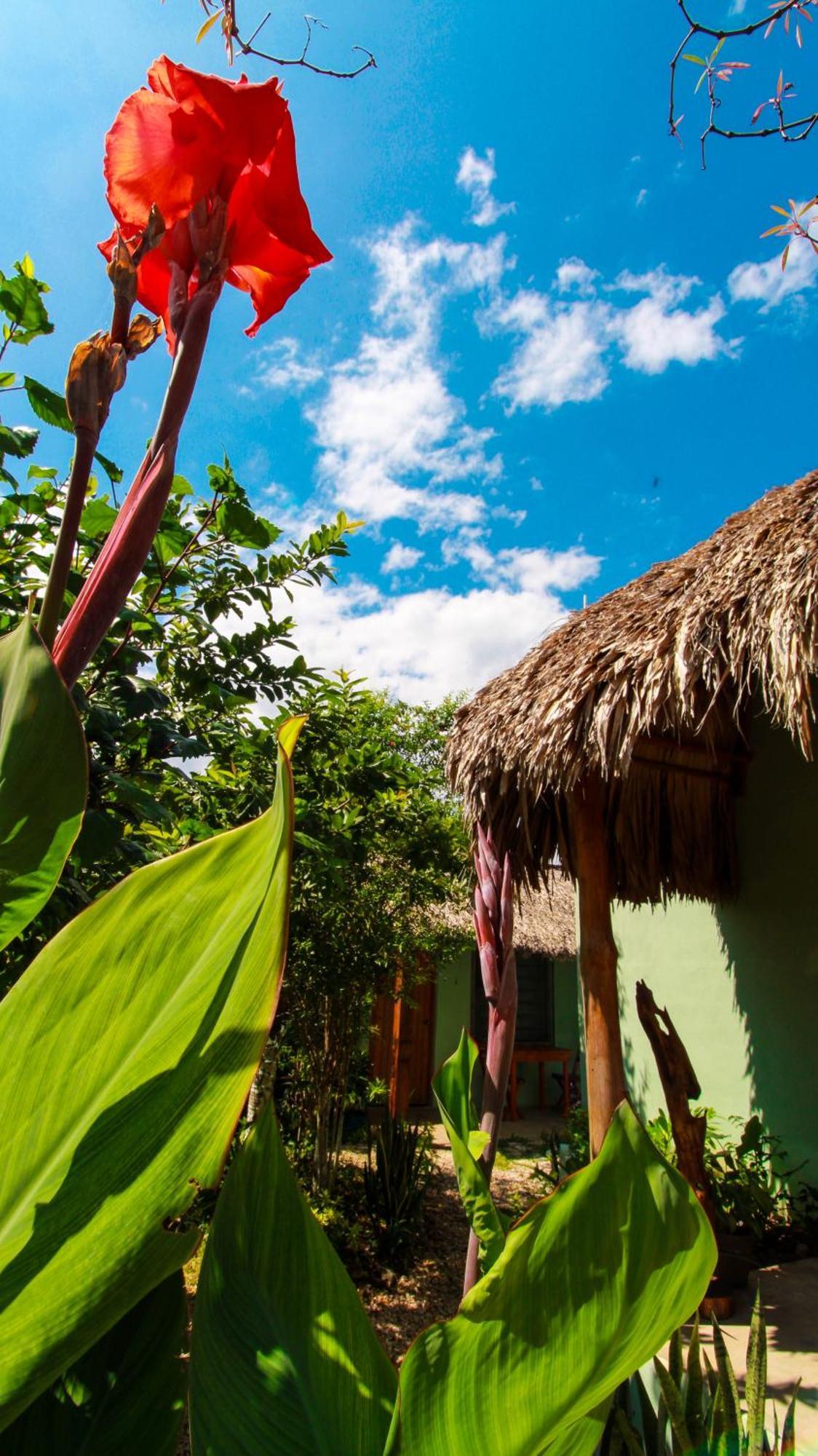 Las Palmas Bacalar Exterior foto